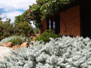 Native gardens at Front of House