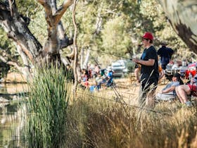 1e0571dedb1a500198f0a735f7a409af