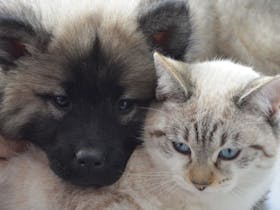 7dcee90fe2c03dda902025fafa101366