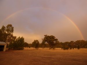 A view from my back door