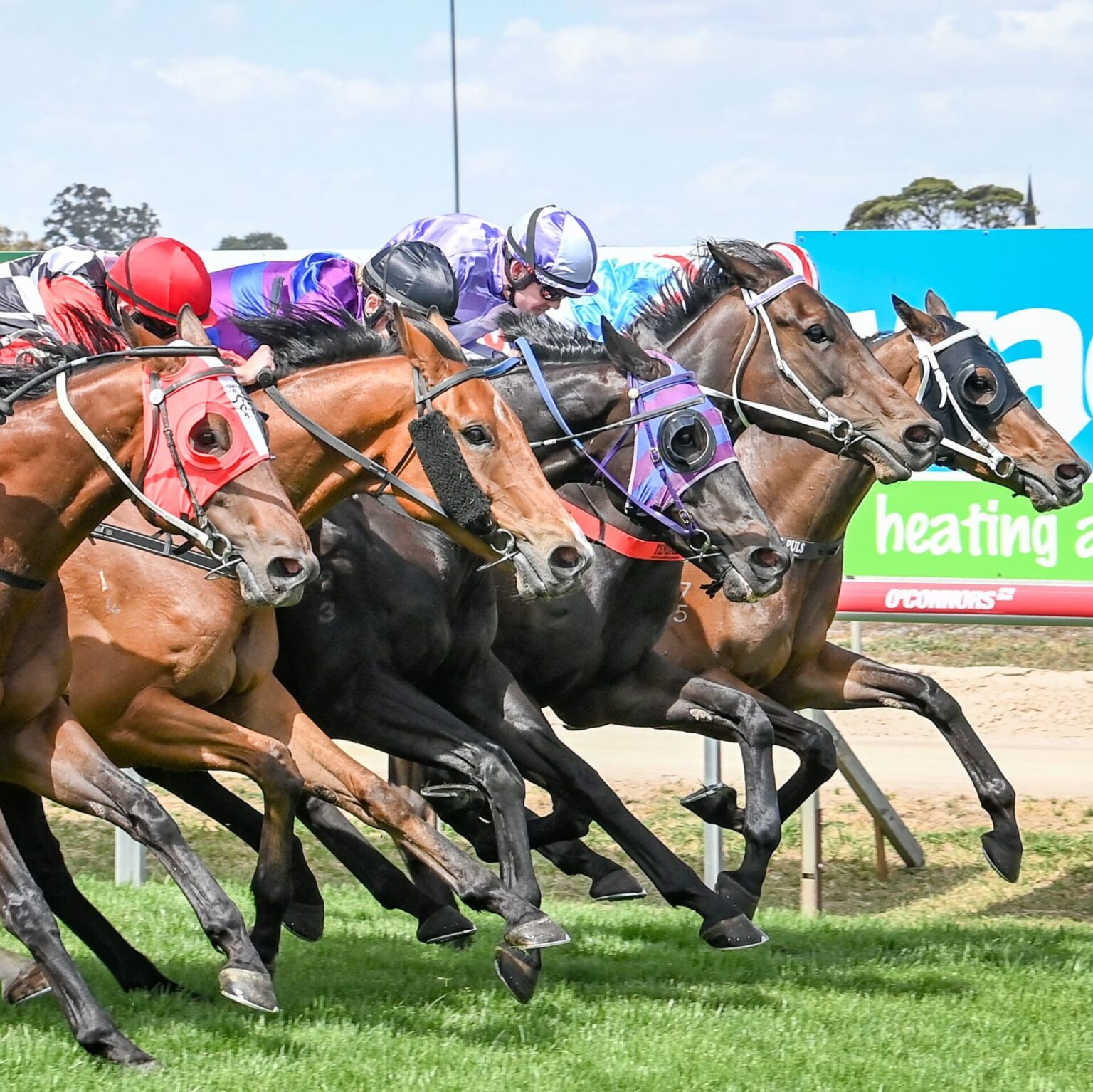 Horsham Cup