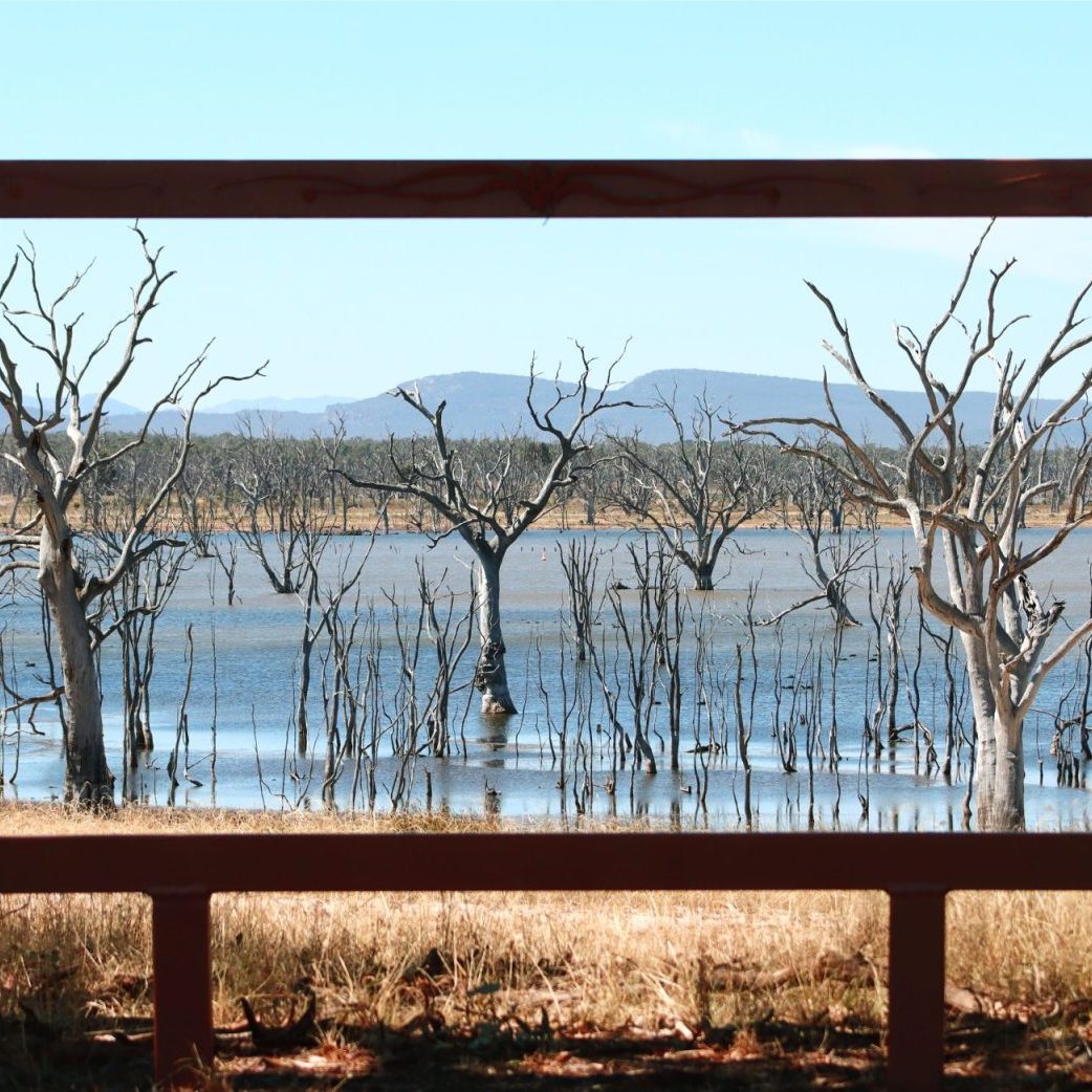 Natural Attractions, National Parks and Reserves Visit Horsham