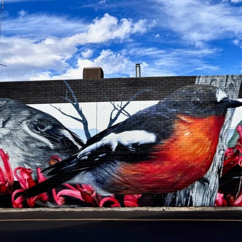 Newsagency Wall 009 Jumpin Jac Flash