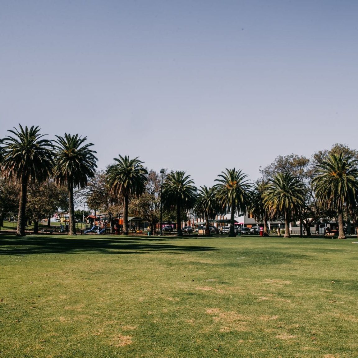 Photo of May Park Horsham. Palm Trees are in the background