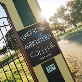 International Students Ceo Mayor Message