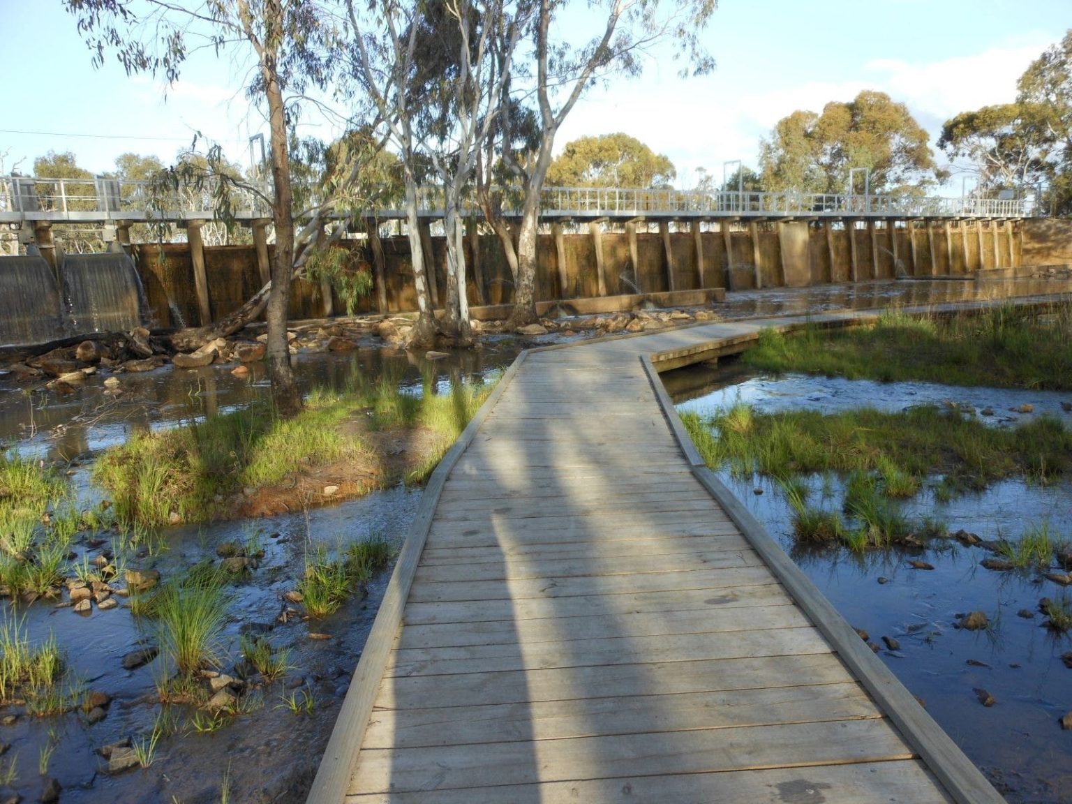 image of boardwalk at weir wetlands
